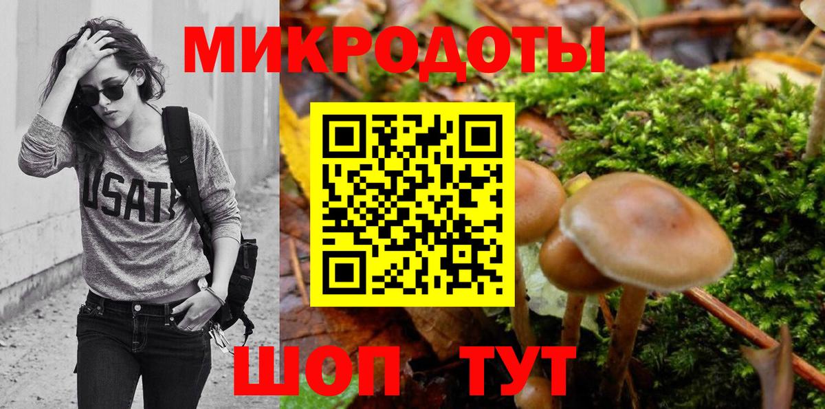 Галлюциногенные грибы мицелий Котлас