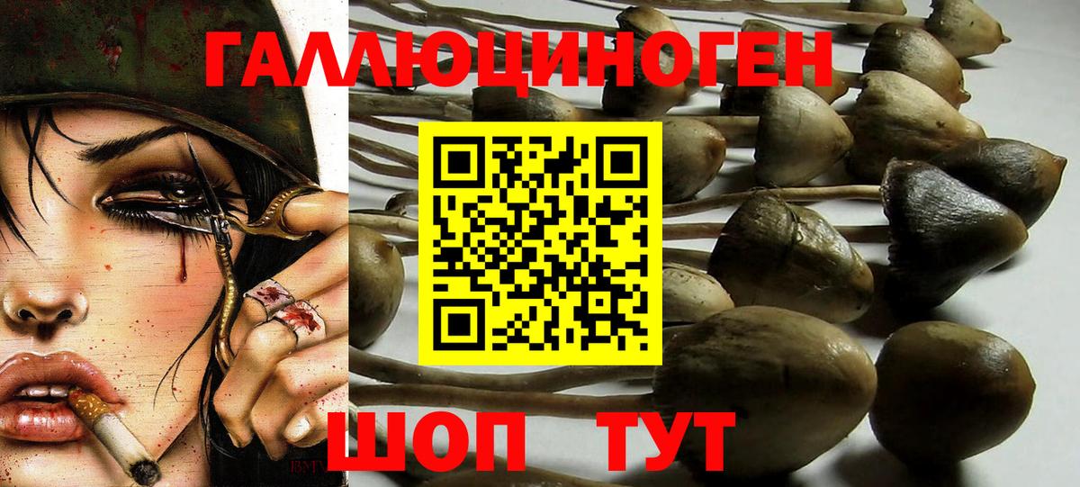 Псилоцибиновые грибы Psilocybe  Вход с VPN  Котлас  Псилоцибиновые грибы Psilocybine cubensis 